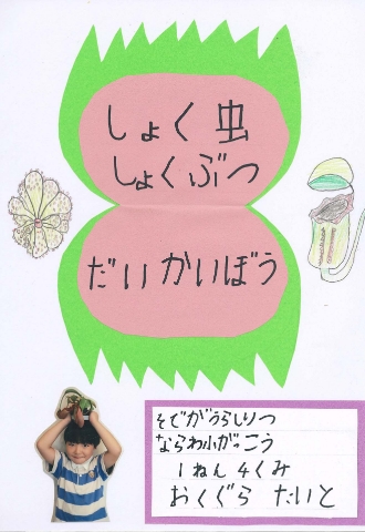 しょく虫しょくぶつ　だいかいぼう