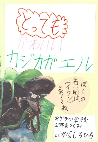 とってもかわいいカジカガエル