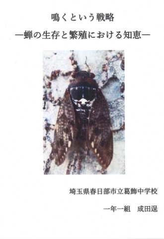 鳴くという戦略－蝉の生存と繁殖における知恵－