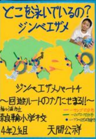 どこを泳いでいるの？ ジンベエザメ　ジンベエザメパート４～回遊ルートのナゾにせまる！！～