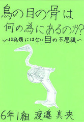 鳥の目の骨は何の為にあるのか? ～ほ乳類にはない目の不思議～